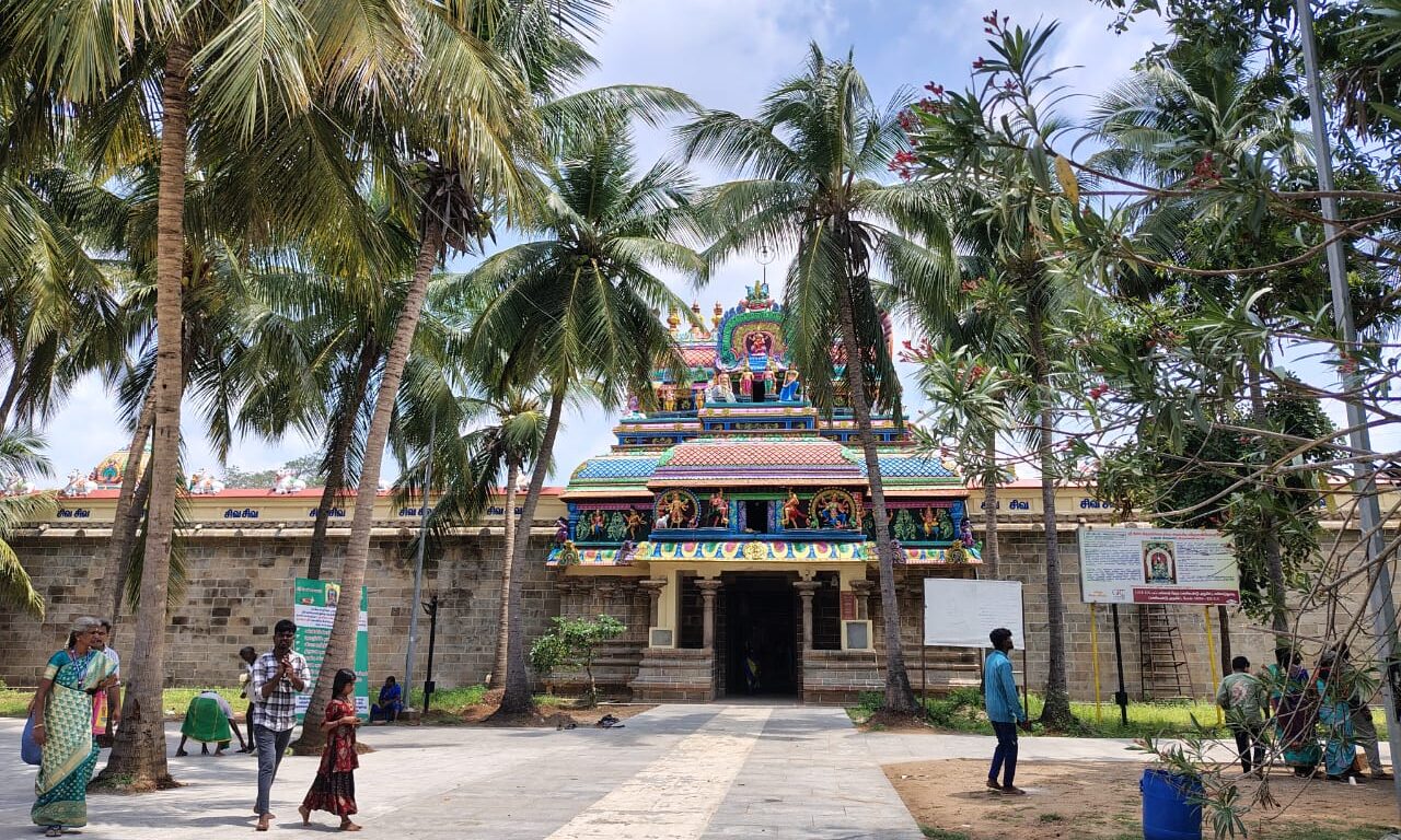 Sri Agasthiya Nadi Astrology – Palm Leaf Reading